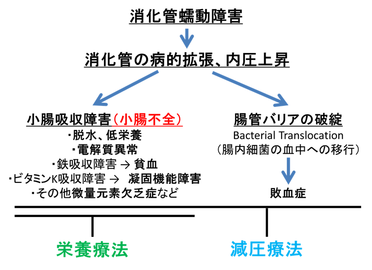 図１．CIPOの病態生理